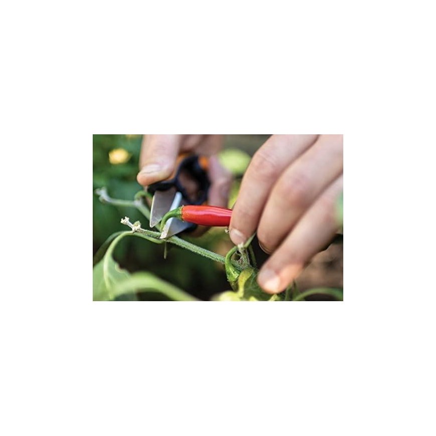 FISKARS SOLID SP220 HERB SCISSORS – 5