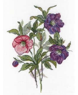 Beldizart (Nutraukta) Gėlės SNV-545