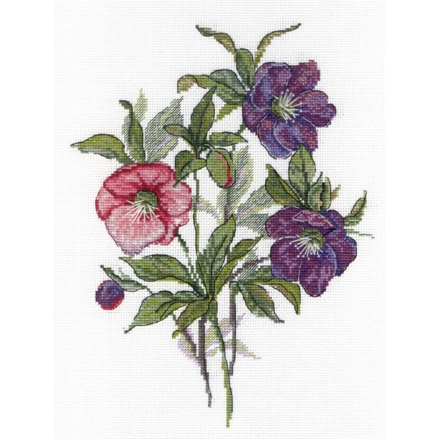Beldizart (Discontinued) Flowers SNV-545