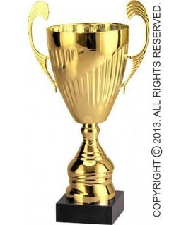 Tryumf Golden metal cup TS 7098B