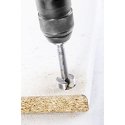 Drilled Alpen - Punta da trapano Forstner per legno, 23603200100 Drilled Alpen - Punta da trapano Forstner per legno, 23603200100