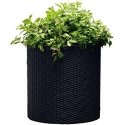Keter S+M+LCYLINDER PLANTERS, 230217 Keter S+M+LCYLINDER PLANTERS, 230217