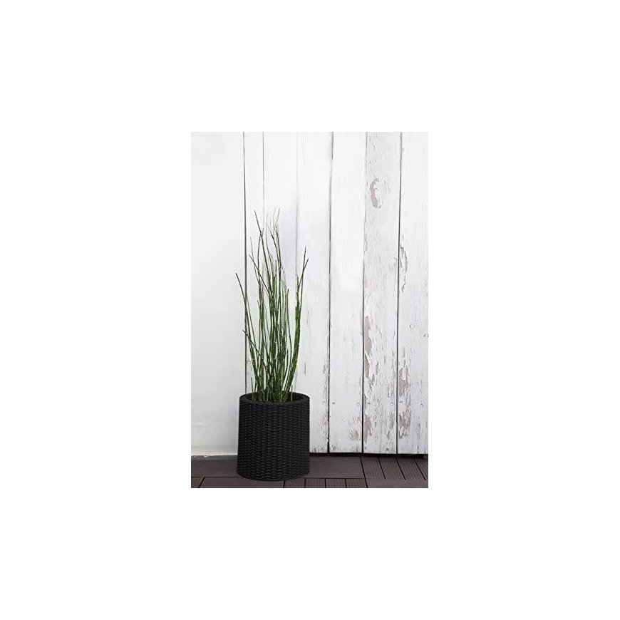 Keter S+M+LCYLINDER PLANTERS, 230217 – 5