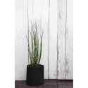 Keter S+M+LCYLINDER PLANTERS, 230217 Keter S+M+LCYLINDER PLANTERS, 230217