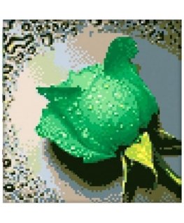 Beldizart IŠPARDAVIMAS (nebegaminamas) Deimantinio dažymo rinkinys Green Rose 22х24 cm AZ-28