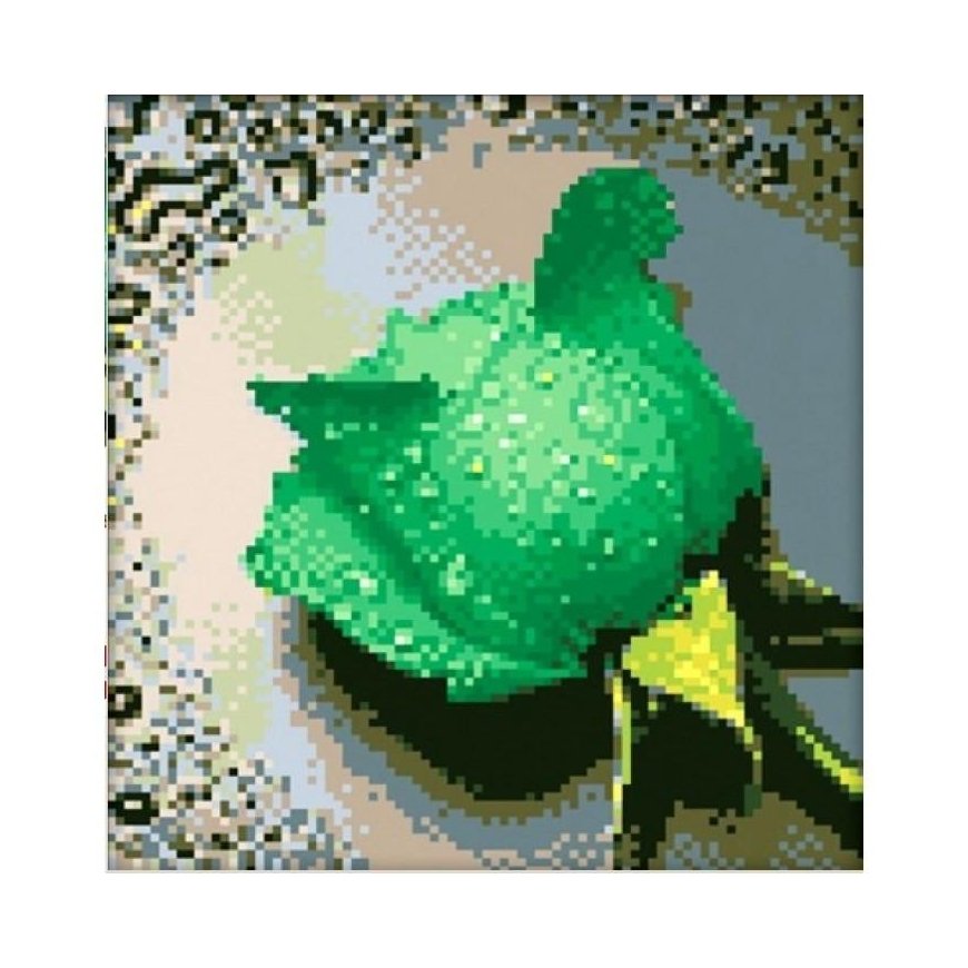 Beldizart SALE (Discontinued) Diamond Painting Kit