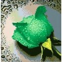 Beldizart SALE (Discontinued) Diamond Painting Kit Green Rose 22х24 cm AZ-28 Beldizart SALE (Discontinued) Diamond Painting Kit Green Rose 22х24 cm AZ-28