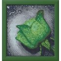 Beldizart SALE (Discontinued) Diamond Painting Kit Green Rose 22х24 cm AZ-28 Beldizart SALE (Discontinued) Diamond Painting Kit Green Rose 22х24 cm AZ-28