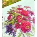Merejka Embroidery kit 29x26.5 SK221
