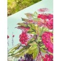 Merejka Siuvinejimo rinkinys 29x26.5 SK221