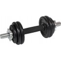 Cast iron dumbbell in a suitcase 7kg Eb Fit