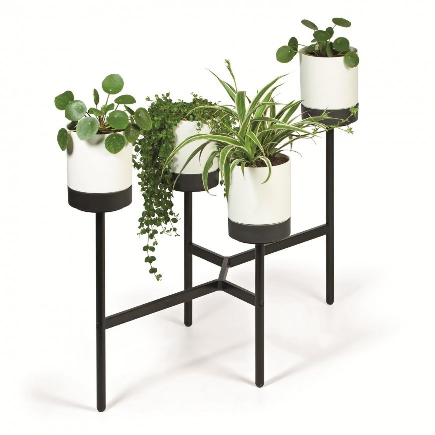 Prosperplast flower bed BLOOMIE STAND - white – 3