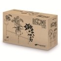 Prosperplast flower bed BLOOMIE STAND - white Prosperplast flower bed BLOOMIE STAND - white