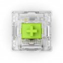 Klaviatūra Glorious Raptor Switch, mechanisch, 5-Pin, clicky, MX-Stem, 55g - 36 Stück Klaviatūra Glorious Raptor Switch, mechanisch, 5-Pin, clicky, MX-Stem, 55g - 36 Stück