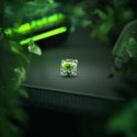 Klaviatūra Glorious Raptor Switch, mechanisch, 5-Pin, clicky, MX-Stem, 55g - 36 Stück Klaviatūra Glorious Raptor Switch, mechanisch, 5-Pin, clicky, MX-Stem, 55g - 36 Stück