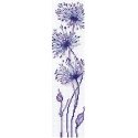 Beldizart Tags. Shallot SANZ-62