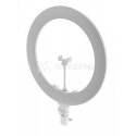 Ring lamp Newell LED ring lamp Newell RL-10A Arctic White + tripod