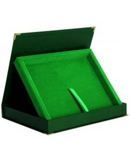 Tryumf Horizontal plastic case in green color - for boards 200x150