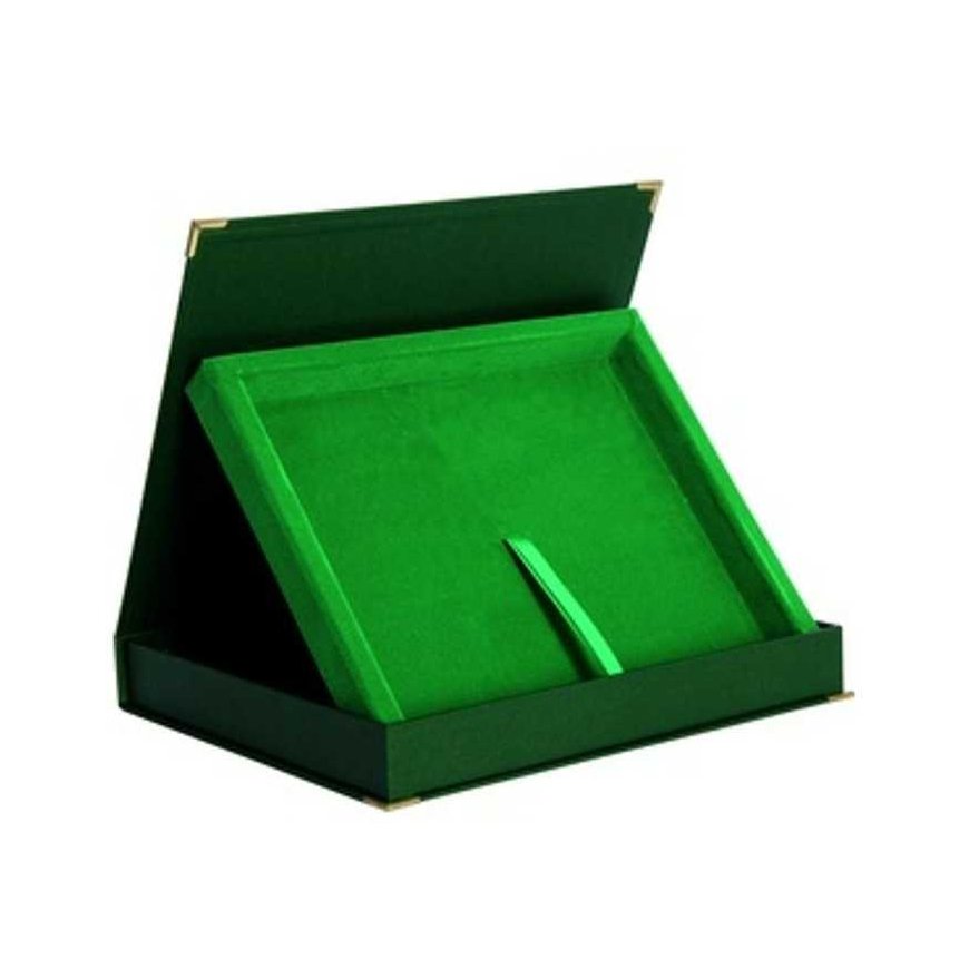 Tryumf Horizontal plastic case in green color - for boards 200x150 – 3