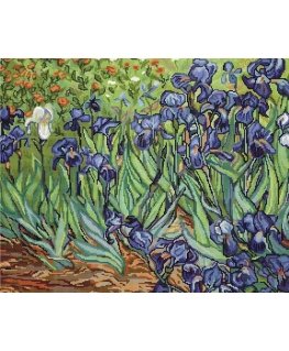 luca S Irises, Van Gogh reproduction SB444