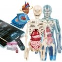 Clementoni Super Anatomy science set Clementoni Super Anatomy science set