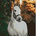 Beldizart Baltas arklys 40*40 WD3030