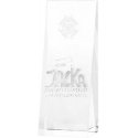 Tryumf Glass trophy with 3D engraving in case Tryumf Glass trophy with 3D engraving in case