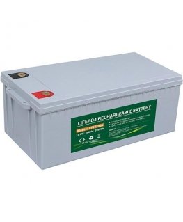 EXD Battery LiFePO4 12.8V, 200Ah