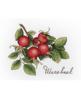 Beldizart Dogrose SNV-630