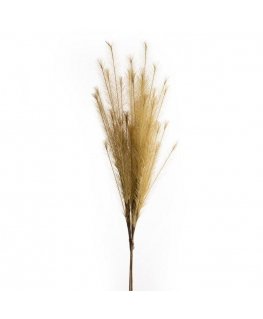Eurofirany KW / FLORE / 704 / BEIGE BEIGE