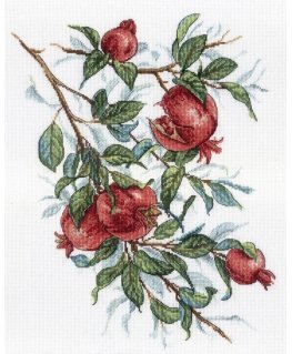 Beldizart Granatų medis SNV-535