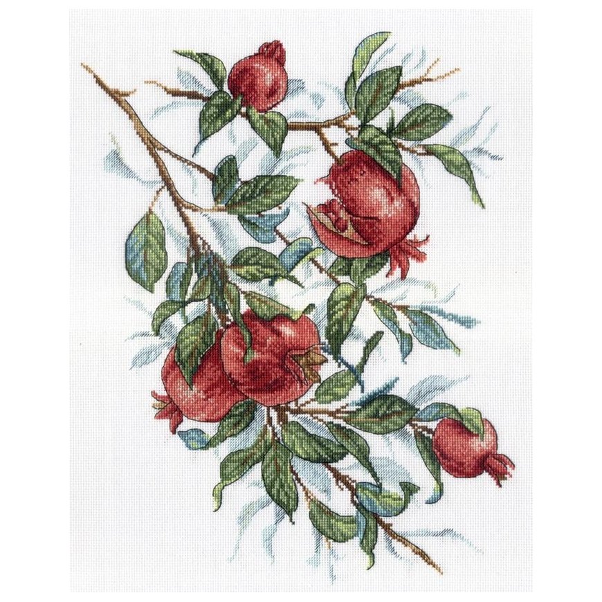 Beldizart Pomegranate tree SNV-535