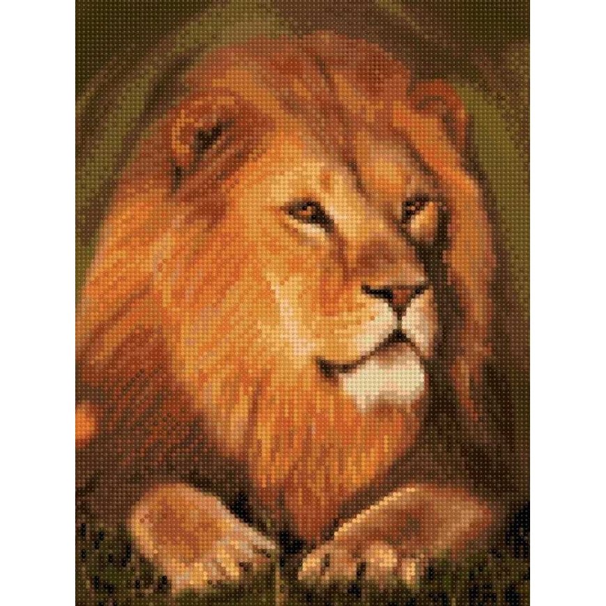 Beldizart Diamond painting with frame "Majestic lion" 30*40 cm VA002