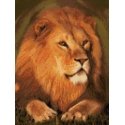 Beldizart Diamond painting with frame "Majestic lion" 30*40 cm VA002 Beldizart Diamond painting with frame "Majestic lion" 30*40 cm VA002