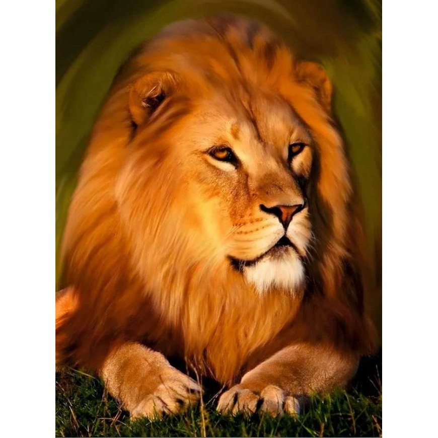 Beldizart Diamond painting with frame "Majestic lion" 30*40 cm VA002 – 2