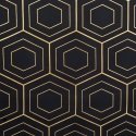 Eurofirany PIRKIMAS/KAJA/CZA+135X250 PLN PERVEDIMAS