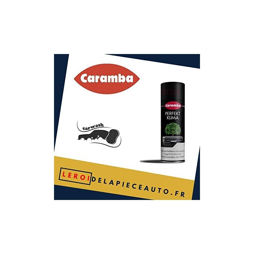 Air conditioner cleaner CARAMBA 100ml – 2