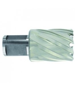 Tivoly Metal drilling cutter Ø13X60X30 mm HSS, mounting Ø19 mm, Weldon