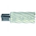 Tivoly Metalo gręžimo freza Ø13X60X30 мм HSS, tvirtinimas Ø19 мм, Weldon