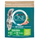 PURINA One Bifensis Adult Indoor - kassi kuivtoit - 800 g