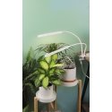 Enne Duo Grow -kasvivalaisin, 16 W, 780 lm, valkoinen Enne Duo Grow -kasvivalaisin, 16 W, 780 lm, valkoinen