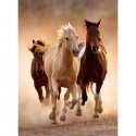 Clementoni Puzzle 1000 pcs. - Horses Clementoni Puzzle 1000 pcs. - Horses