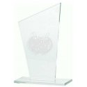 Tryumf Engraved glass trophy