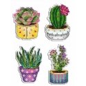 Beldizart Cacti. Magnets SR-419 Beldizart Cacti. Magnets SR-419