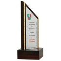 Tryumf Engraved plastic trophy Tryumf Engraved plastic trophy