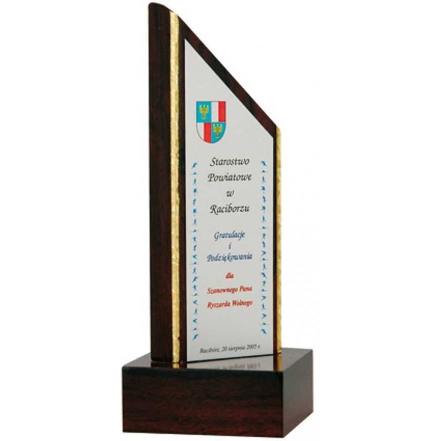 Tryumf Engraved plastic trophy – 4