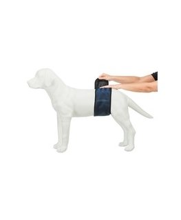Record Record Dog pads, fruit 60x60 cm 10 pcs.