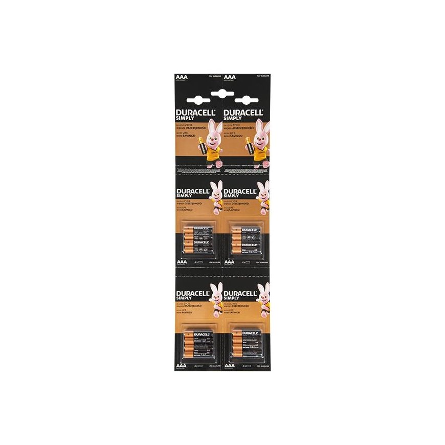 Blow Alkaline battery AAA 1.5 DURACELL 16 pcs