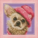 Beldizart Deimantinio dažymo rinkinys Chihuahua 15х15cm AZ-1569 Beldizart Deimantinio dažymo rinkinys Chihuahua 15х15cm AZ-1569