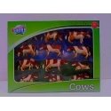 Hipo Farma Krowy 12 vnt rudas-baltas 571968 81000 Hipo Farma Krowy 12 vnt rudas-baltas 571968 81000